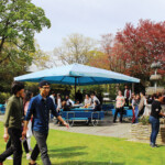 Anglo-Continental-Gardens