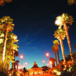 Palms-in-Bournemouth-Gardens